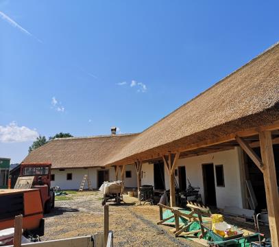 IMG_20210810_142533 (002)